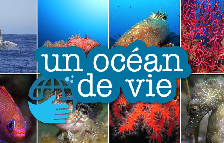 Un Océan de Vie