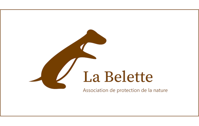 La Belette