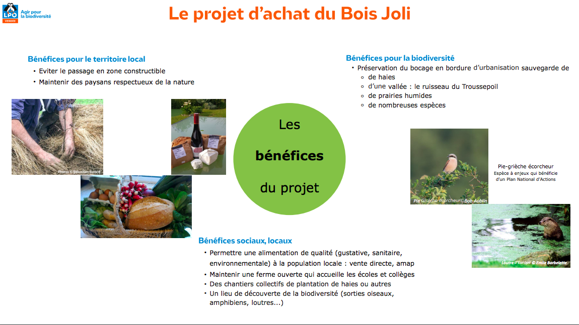 Le site du Bois Joli – LPO 85